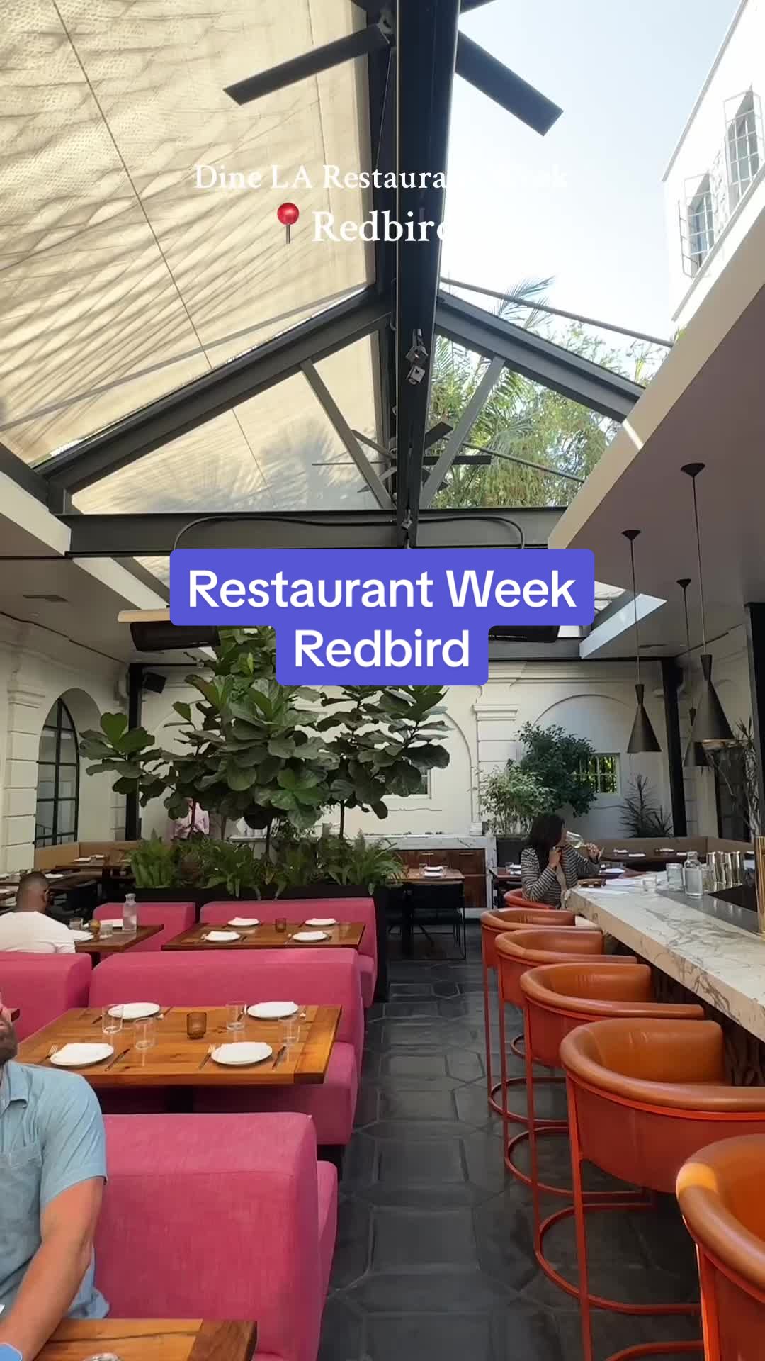 Redbird