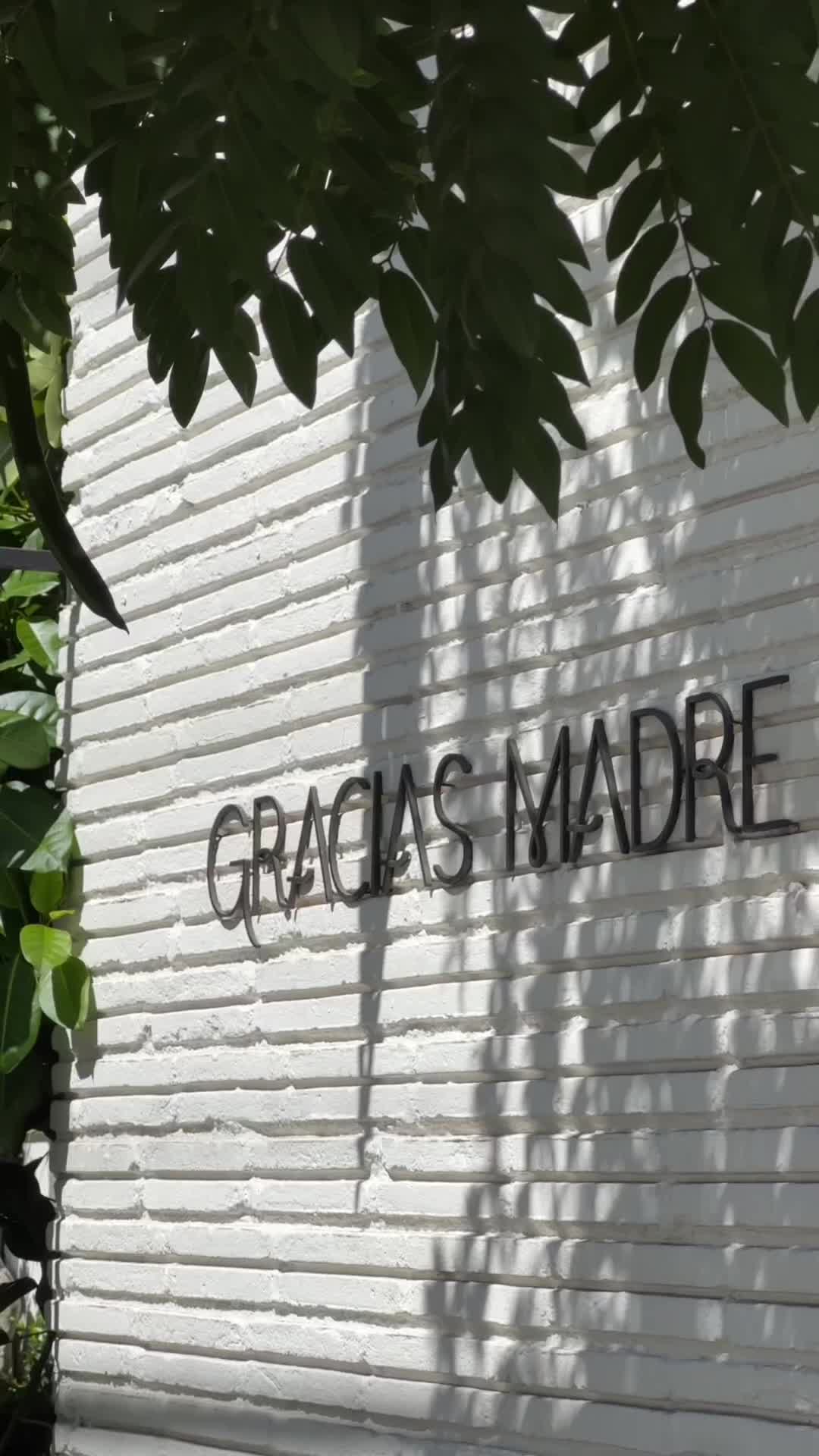 Gracias Madre